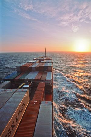 AMMONIA VESSEL LINE UP AT ALL INDIAN PORTS AS ON 08-Nov-2024